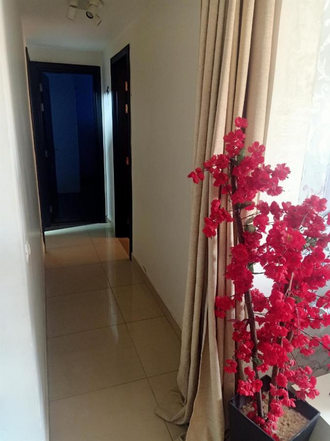 Fully Furnished Apartment At Ocean Blue Compound Кайро Екстериор снимка